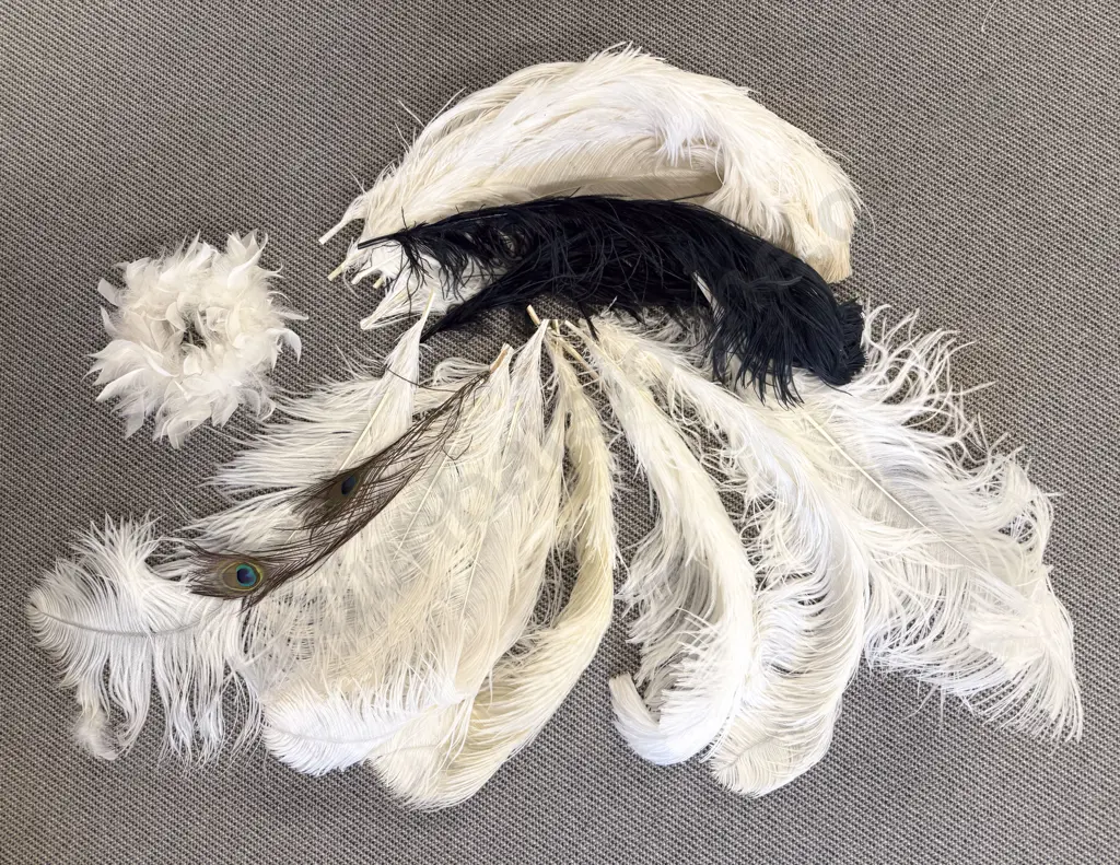 Quantity White & Black Ostrich Feathers Image 1++