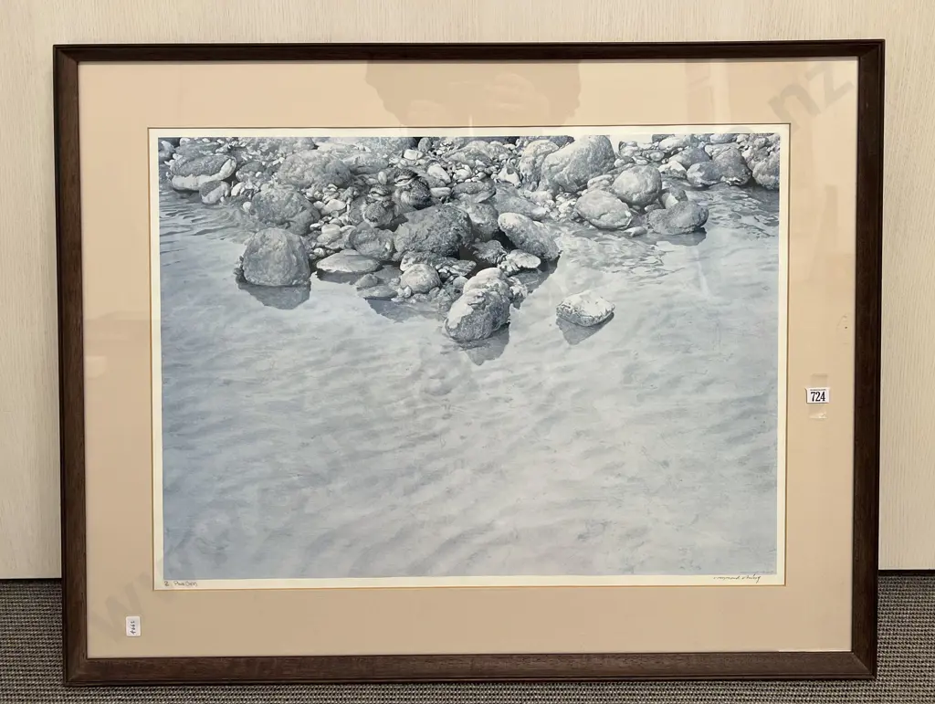 Raymond Ching - Plover Chicks - Signed Ltd Ed Print 158/500 Image 1++