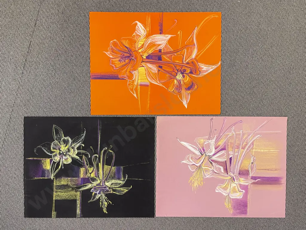 Les Finch - Three Botanical Sketchbook Studies - Aquilegia Image 1++
