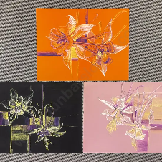 Les Finch - Three Botanical Sketchbook Studies - Aquilegia