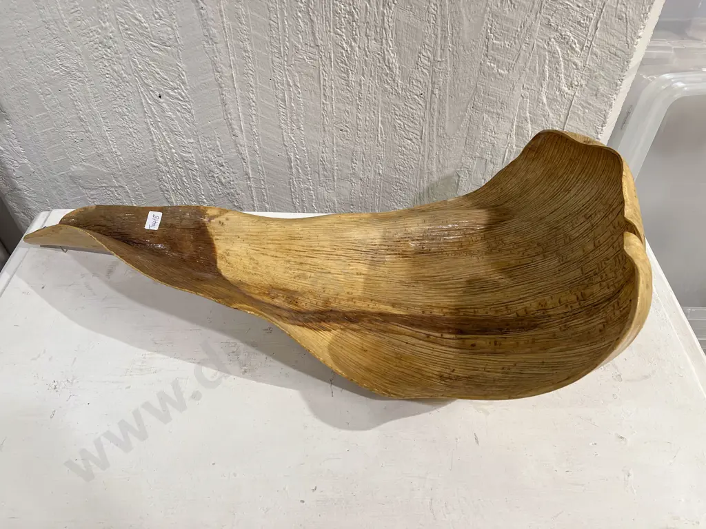 Large Preserved Nikau Frond Image 1++