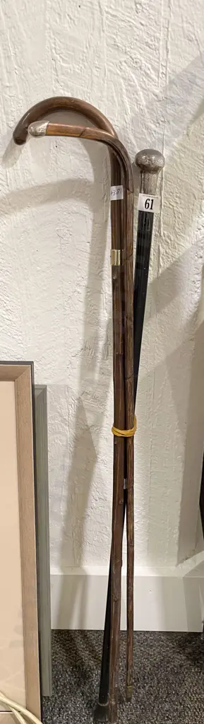 Three Antique Walking Sticks Including S/S and Ebony Image 1++