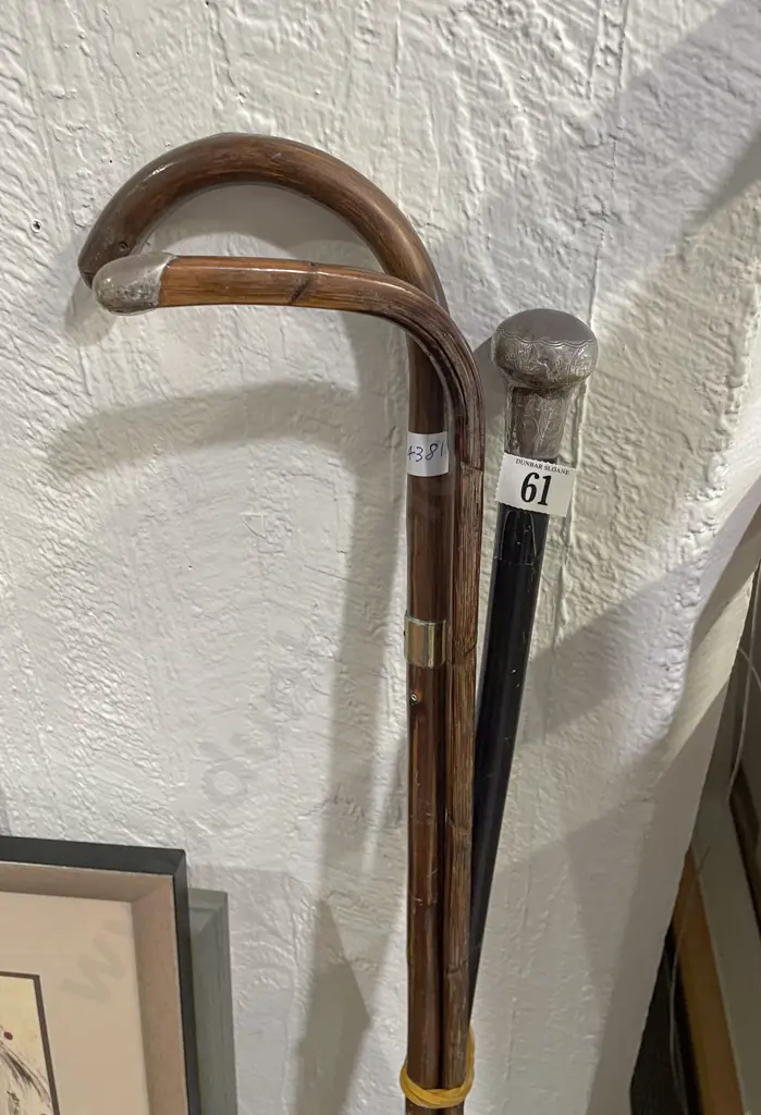 Three Antique Walking Sticks Including S/S and Ebony Image 1++