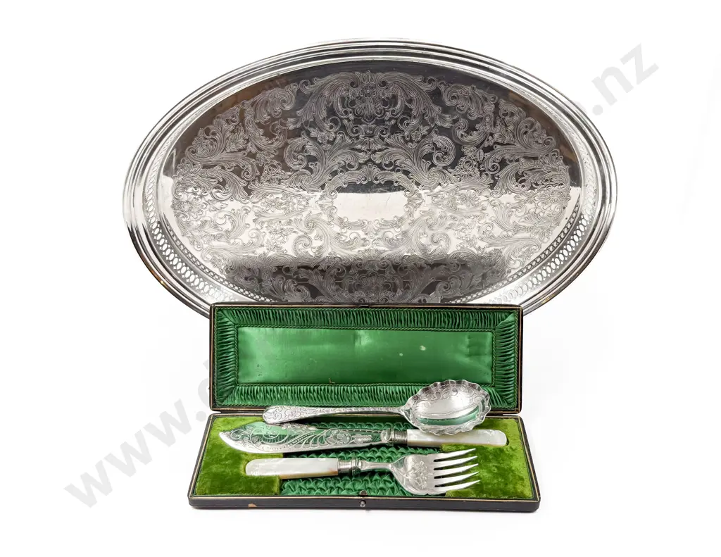 Cased MOP Handled Fish Service with Spoon and Tray Image 1++