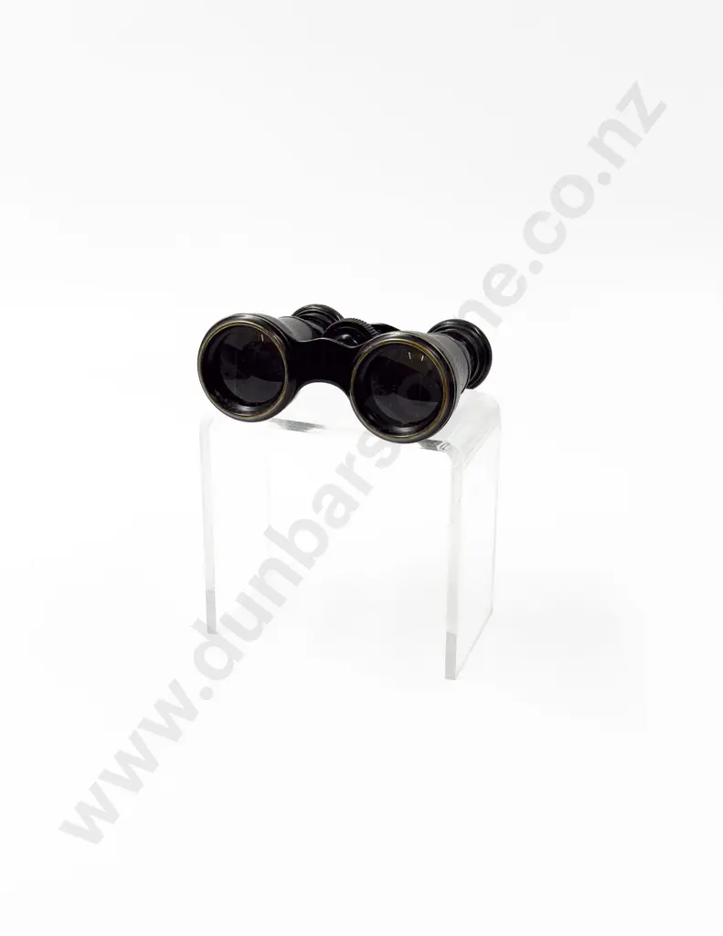 Small Pair of Vintage Binoculars Image 1++