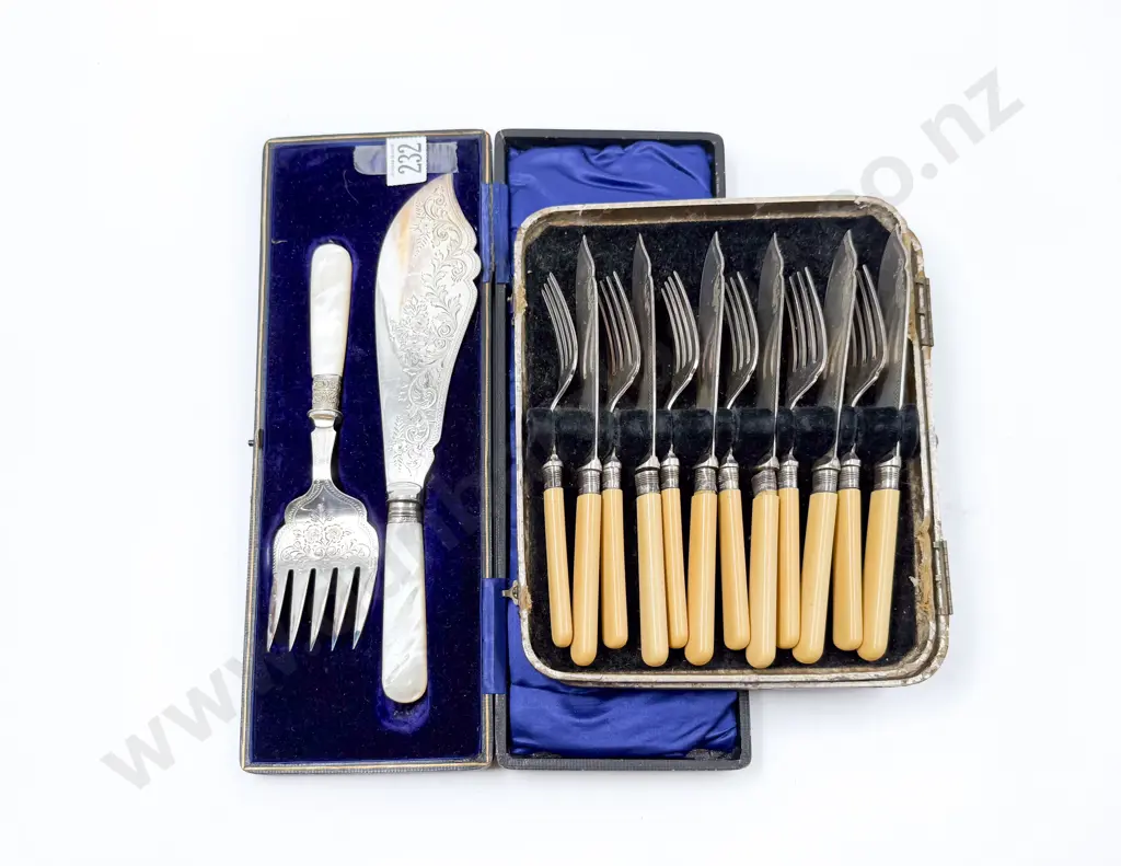 Cased Bone Handled Fish Service & MOP Handled Serving Set Image 1++