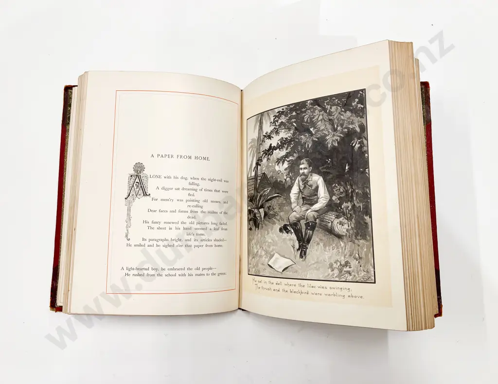 Musings in Maoriland by Thomas Bracken Image 1++