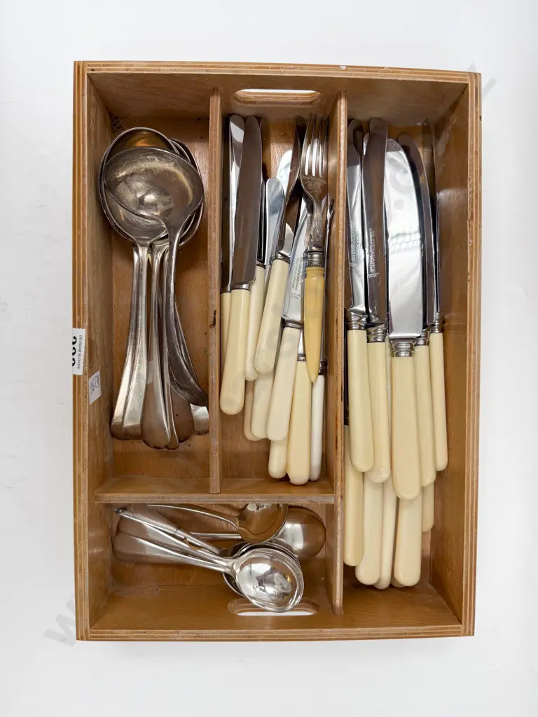 Box of Assorted Cutlery incl Bone Handled Knives Image 1++