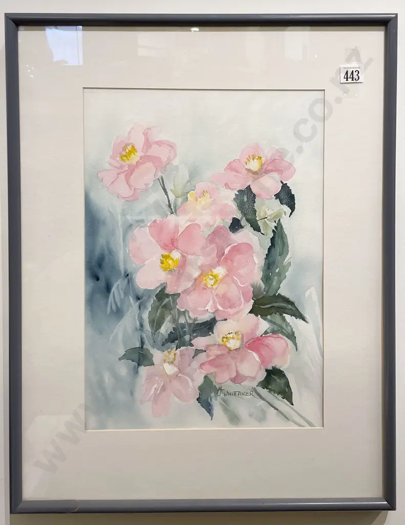 A. Whittaker - Camellias - Watercolour Image 1++