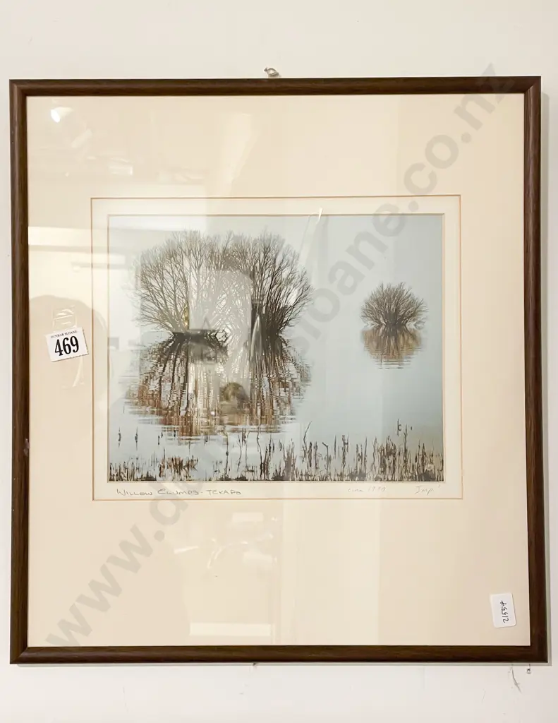Unknown - Willow Clumps Tekapo - Photographic Print Image 1++