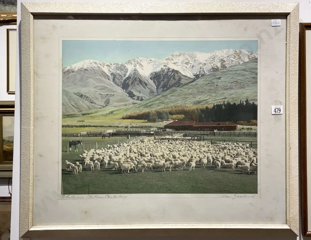Hand Coloured Photograph Glen Tanner Station Canterbury Image 1++
