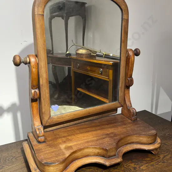 Toilet Swing Mirror