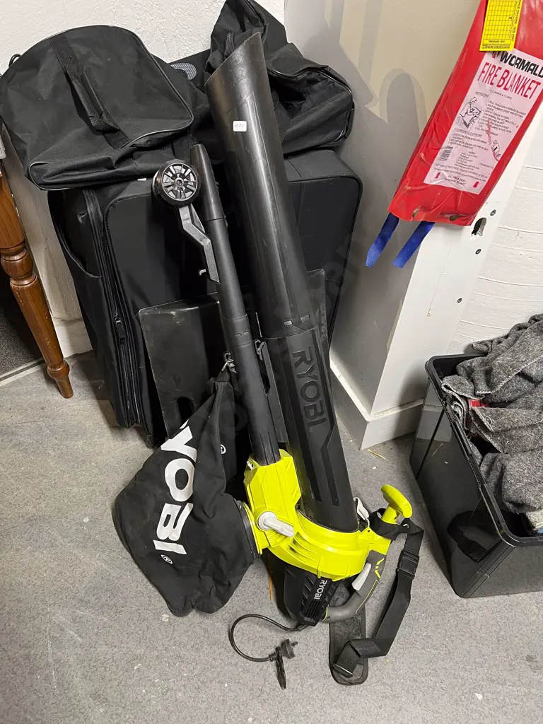 Ryobi Leaf Blower Image 1++
