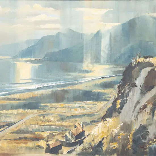 Frank Dell - Evening Light Palliser Bay