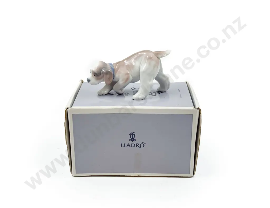 Lladro Dog Figure "Little Hunter" in Original Box Image 1++