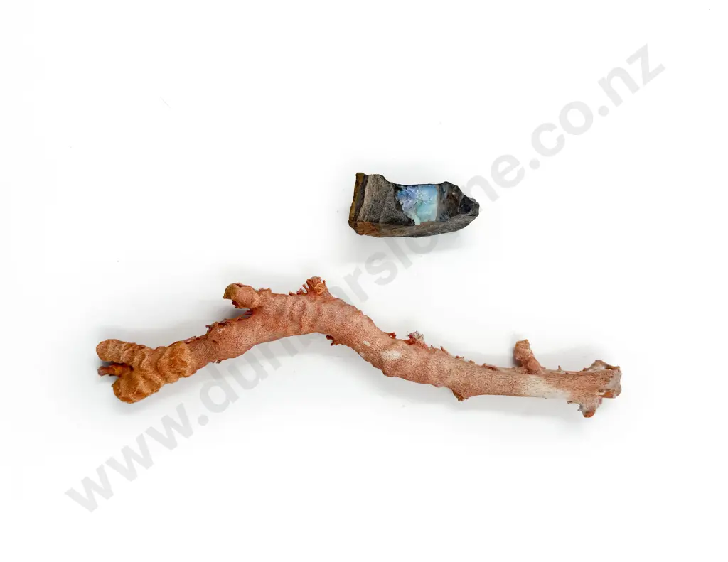 Vintage Coral Piece together with Opal Sample Image 1++