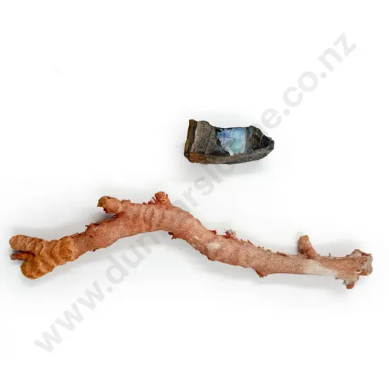 Vintage Coral Piece together with Opal Sample