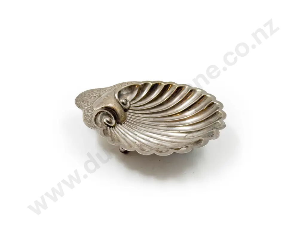 S/S Scallop Form Dish Image 1++