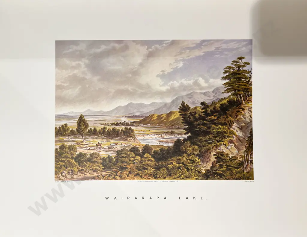 NZ Graphic and Descriptive Image 1++