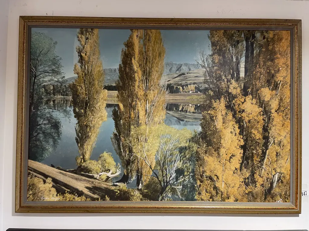 White's Aviation Lake Hayes Print Image 1++