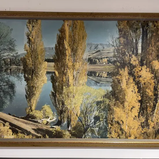 White's Aviation Lake Hayes Print