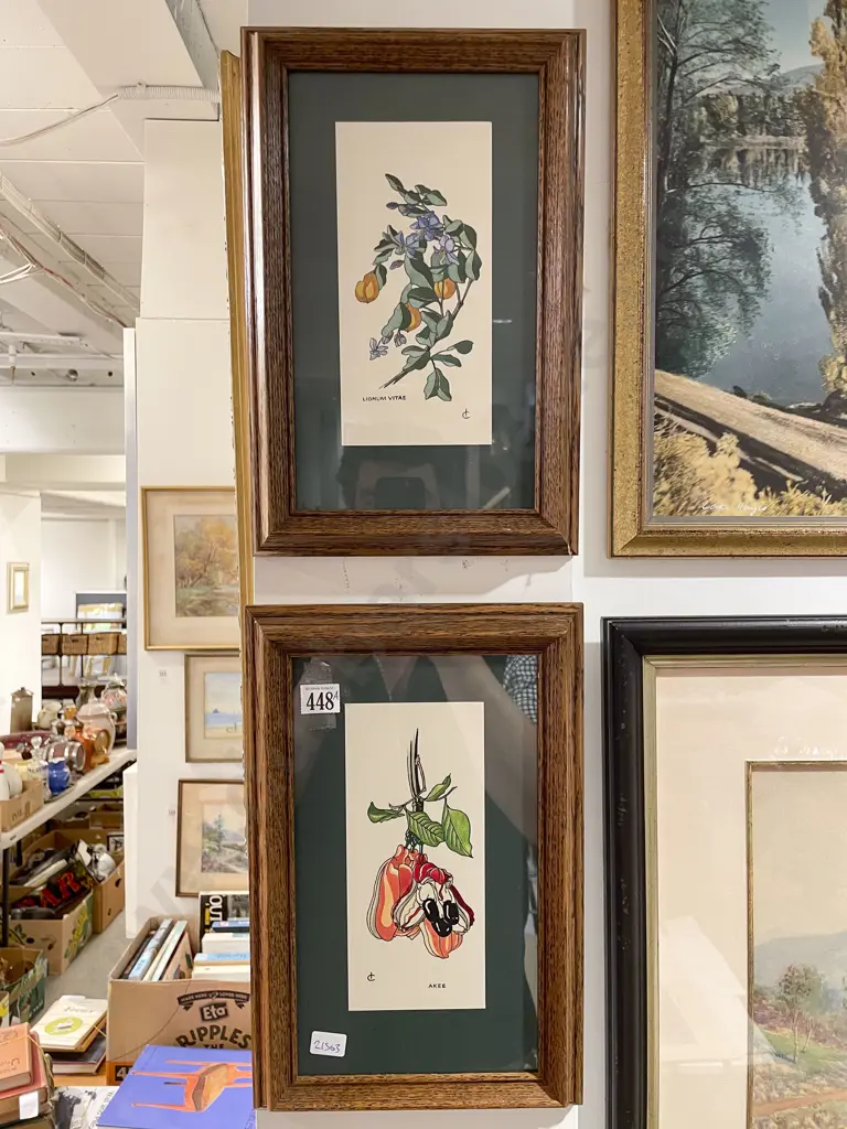 Pair of Oak Framed Botanical Studies Image 1++