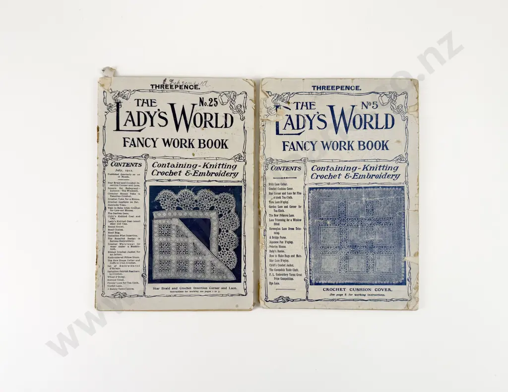 The Lady's World Fancy Work Book No 5 & 25 Image 1++