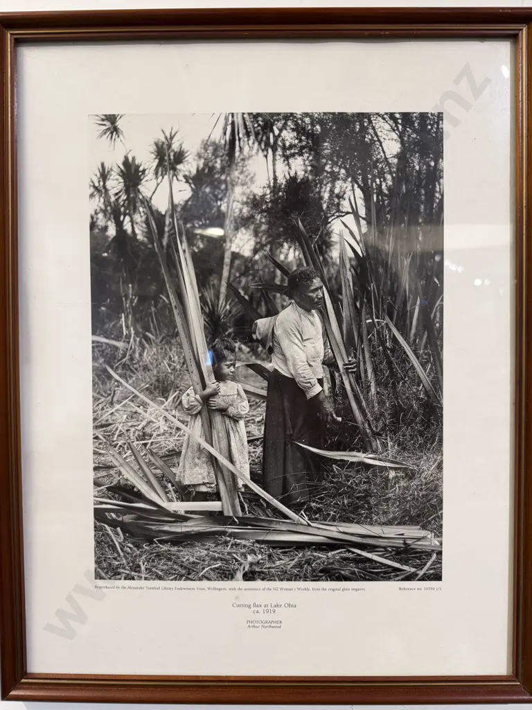 Six Assorted Turnbull Library Reproduction Photographs Image 1++