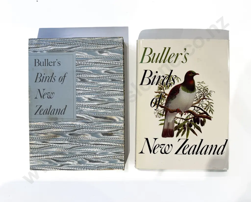 Bullers Birds of New Zealand Image 1++