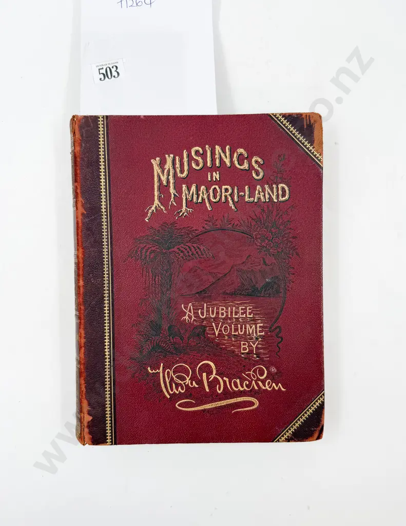 Musings in Maoriland Image 1++