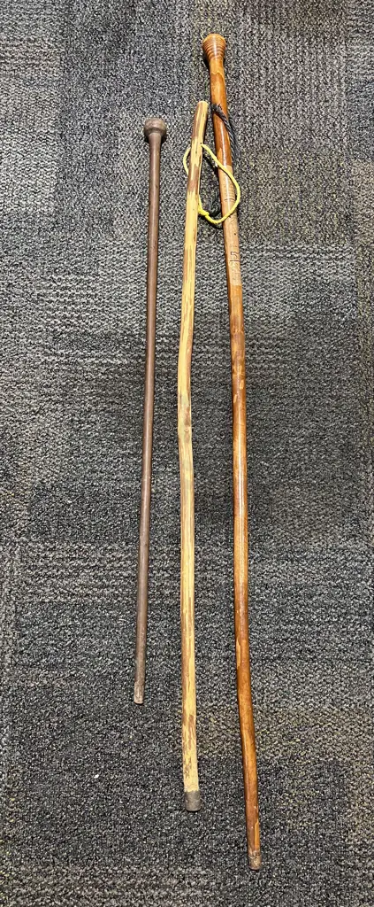 Three Assorted Walking Sticks Image 1++