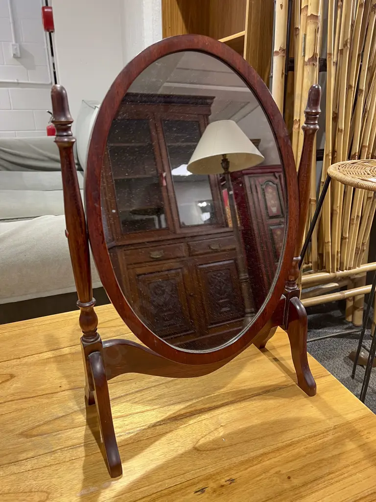 Swing Toilet Mirror Image 1++