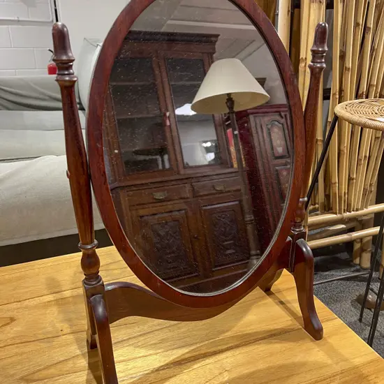 Swing Toilet Mirror