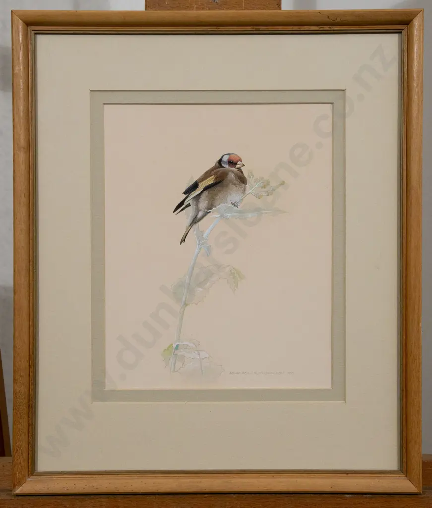 Russell M Jackson (b 1947) - Goldfinch Image 1++