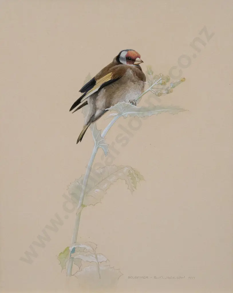 Russell M Jackson (b 1947) - Goldfinch Image 1++
