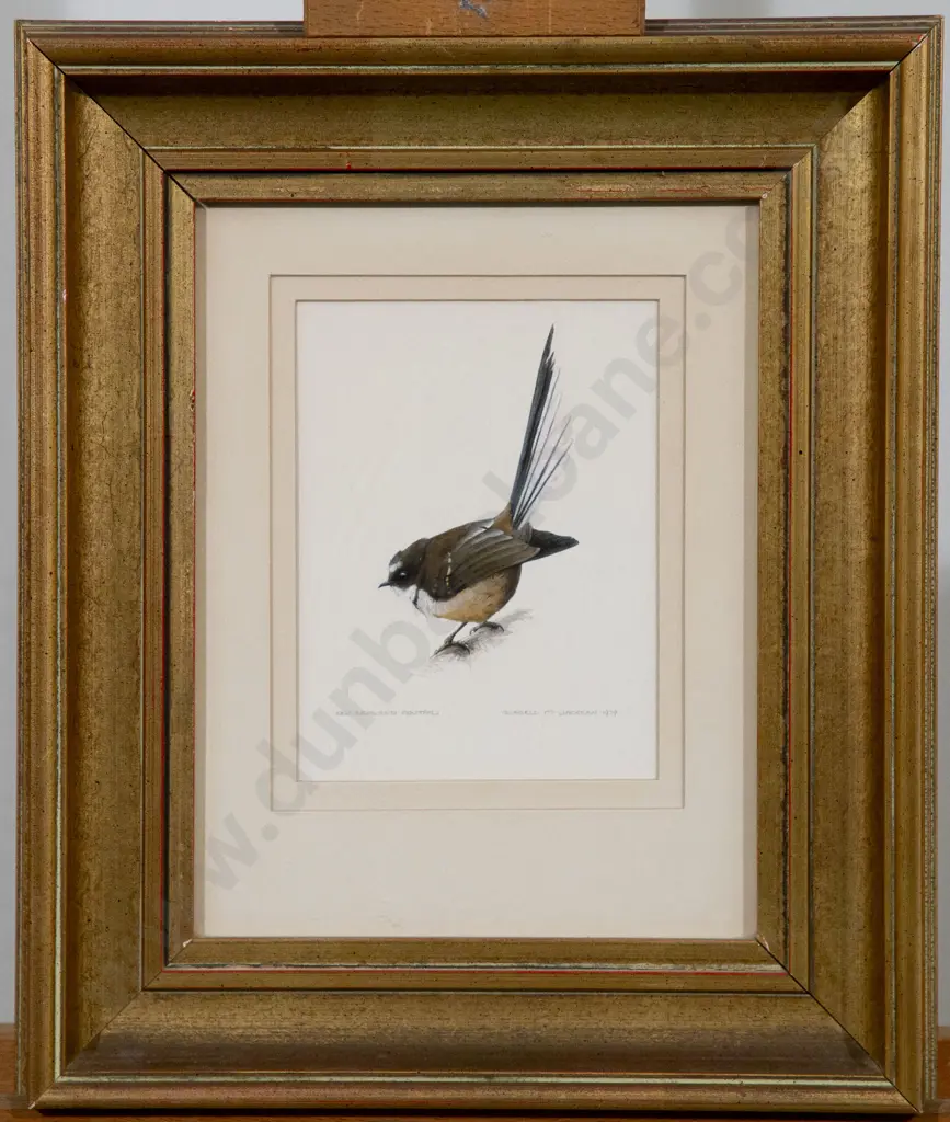 Russell M Jackson (b 1947) - New Zealand Fantail Image 1++