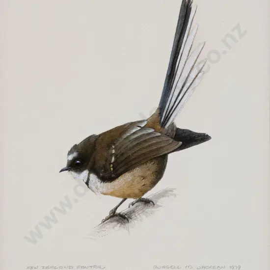 Russell M Jackson (b 1947) - New Zealand Fantail