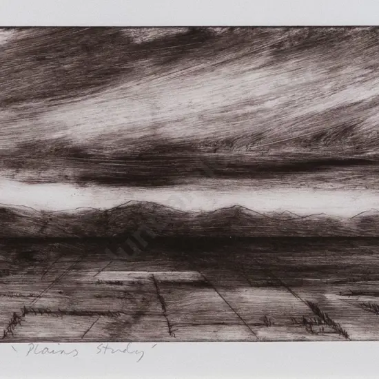 Philip Beadle (b 1959) - Plains Study