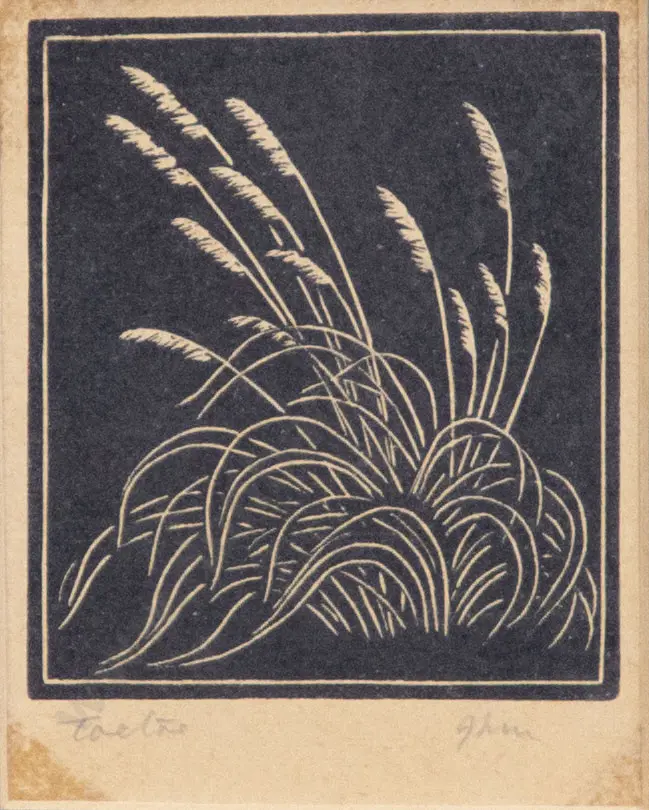 John Lysaght Moore (1897 - 1965) - Toetoe Image 1++