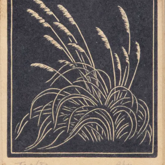 John Lysaght Moore (1897 - 1965) - Toetoe