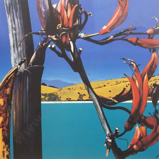 Jacqueline Tuckey (B 1963) - Tui's Delight
