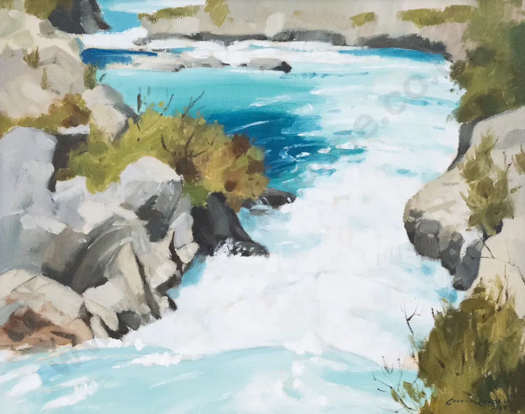 Colyn Nicholls - Aratiatia Rapids Image 1++