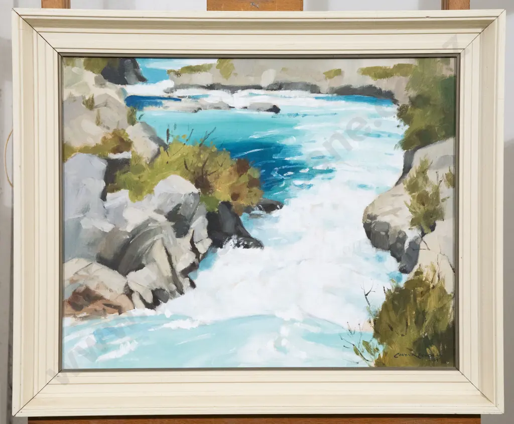 Colyn Nicholls - Aratiatia Rapids Image 1++