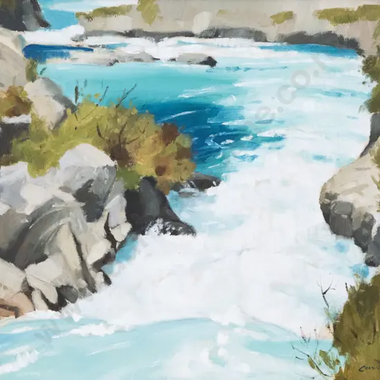 Colyn Nicholls - Aratiatia Rapids