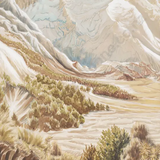 Alison Sanson - Mt Sefton Westport 1965