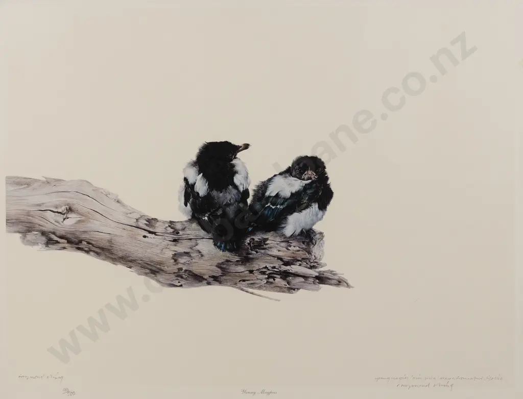 Raymond Ching (b 1939) - Young Magpies Image 1++