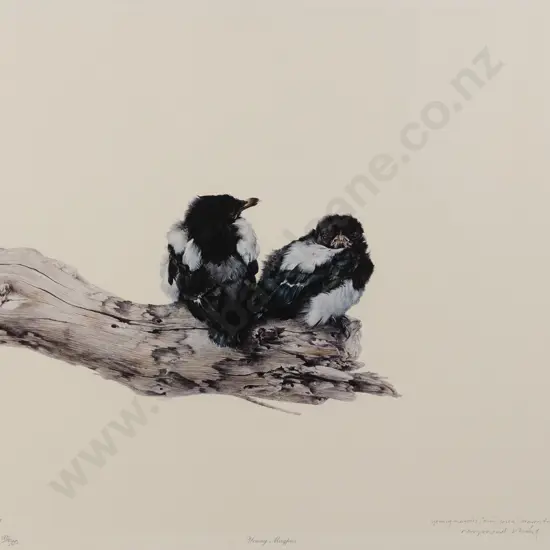Raymond Ching (b 1939) - Young Magpies