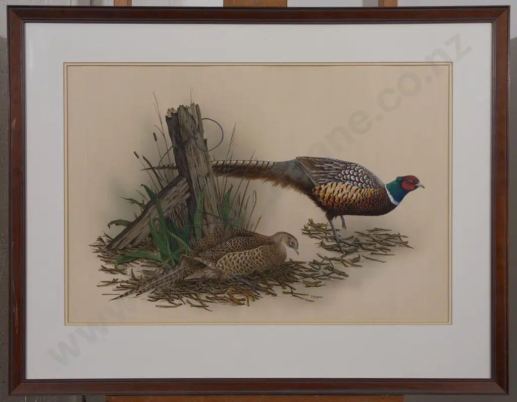 Janet Marshall (b 1947) - Pheasants Image 1++