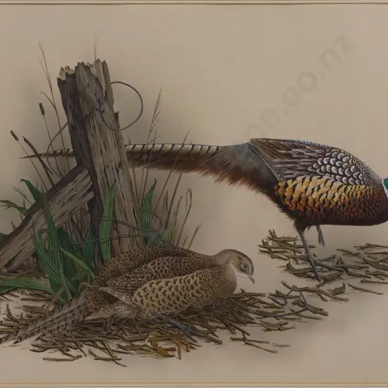 Janet Marshall (b 1947) - Pheasants