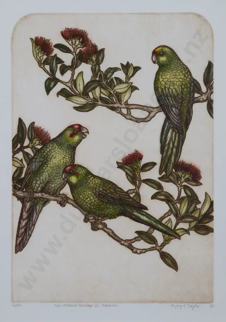 Mary E Taylor (b 1948) - New Zealand Heritage II: Kakariki Image 1++
